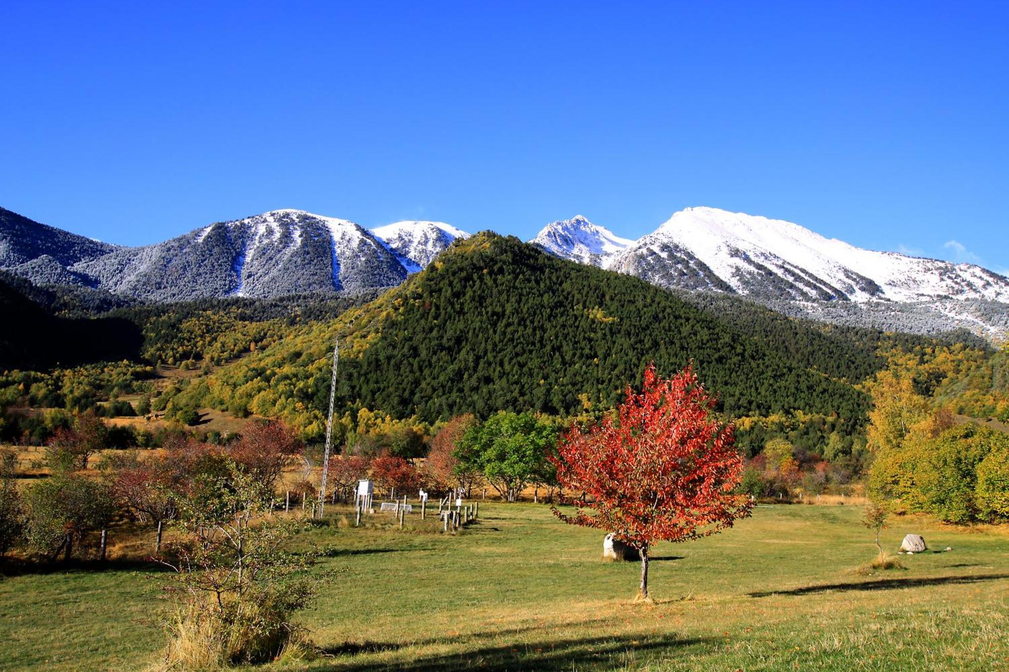 Monnatura Pirineus Son Del Pi Buitenkant foto